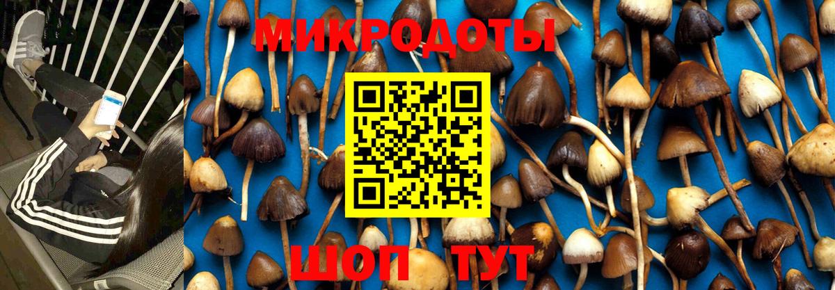 Галлюциногенные грибы Psilocybine cubensis  продажа наркотиков  Чита  Вход с VPN 